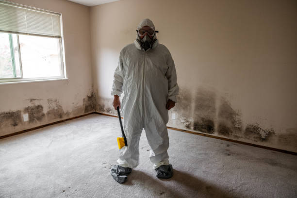 Best Health and Safety Mold Remediation in Dexter, GA